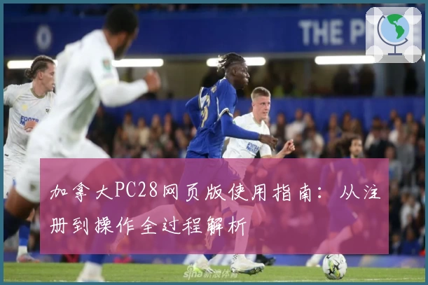 加拿大PC28网页版使用指南：从注册到操作全过程解析