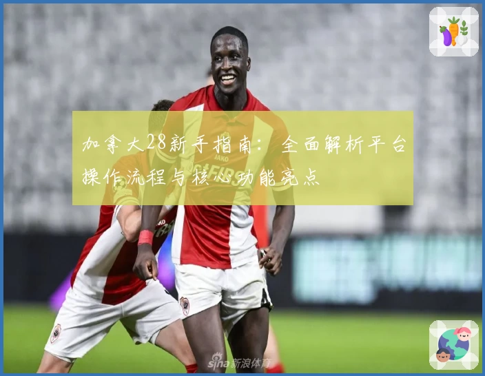 加拿大28新手指南：全面解析平台操作流程与核心功能亮点