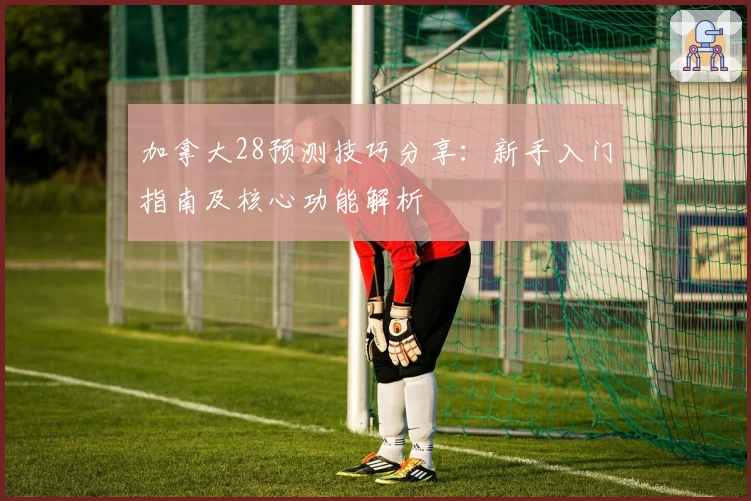 加拿大28预测技巧分享：新手入门指南及核心功能解析
