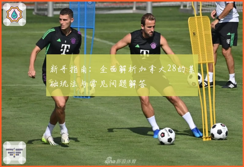 新手指南：全面解析加拿大28的基础玩法与常见问题解答