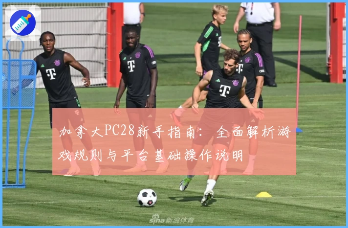 加拿大PC28新手指南：全面解析游戏规则与平台基础操作说明