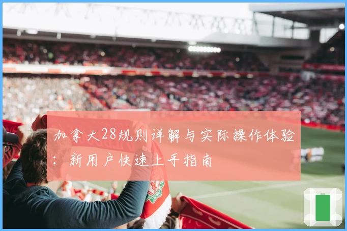 加拿大28规则详解与实际操作体验：新用户快速上手指南