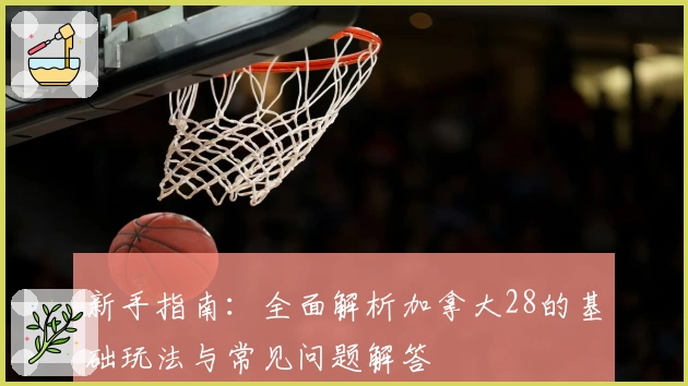 新手指南：全面解析加拿大28的基础玩法与常见问题解答